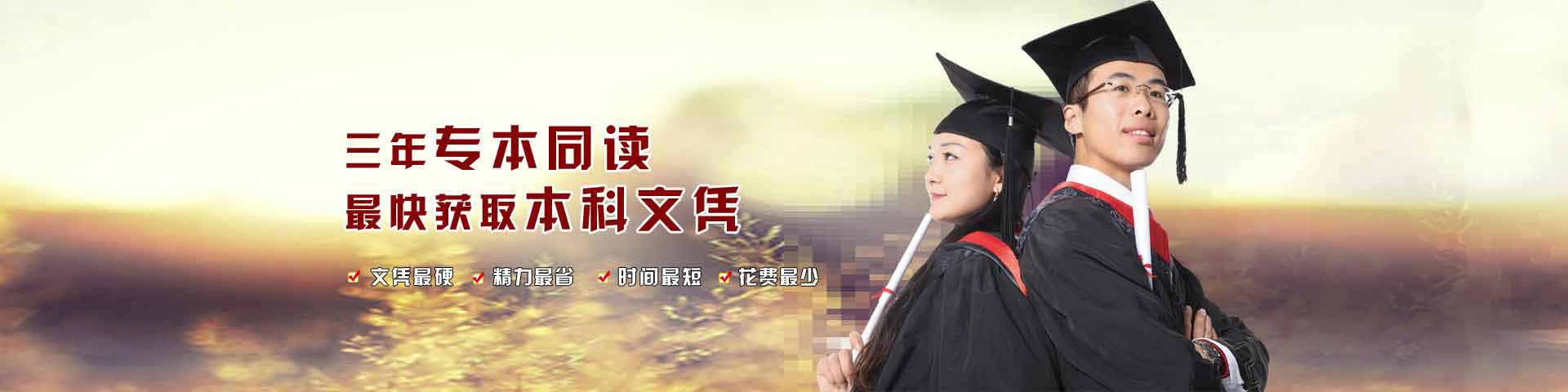 网络教育